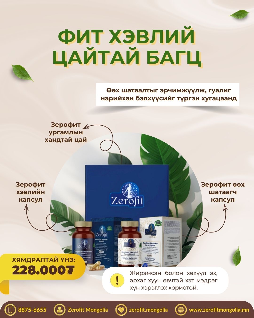 Фит багц