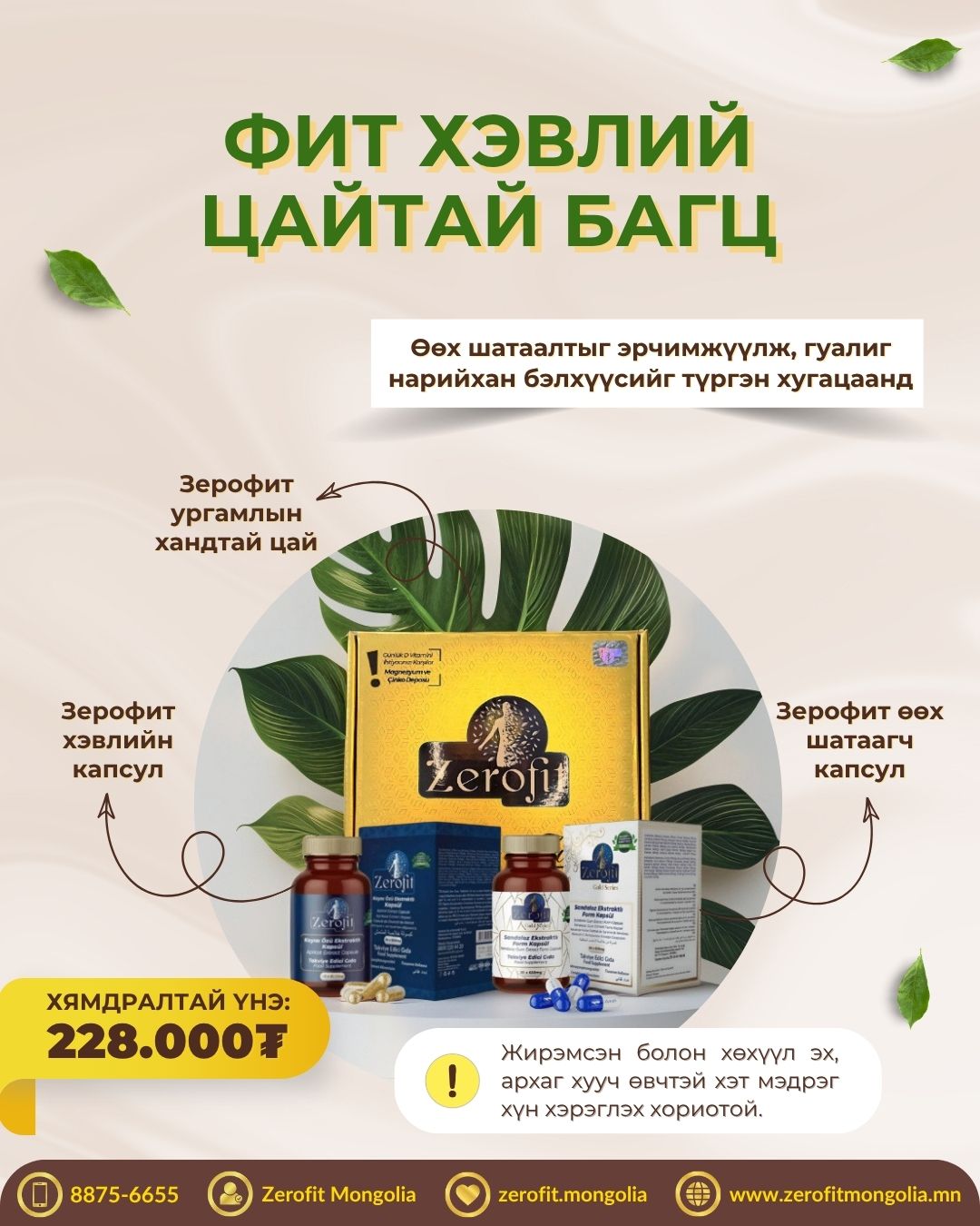Фит багц